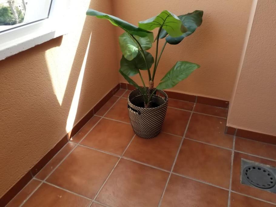 Casa Laguna Casares Eksteriør billede